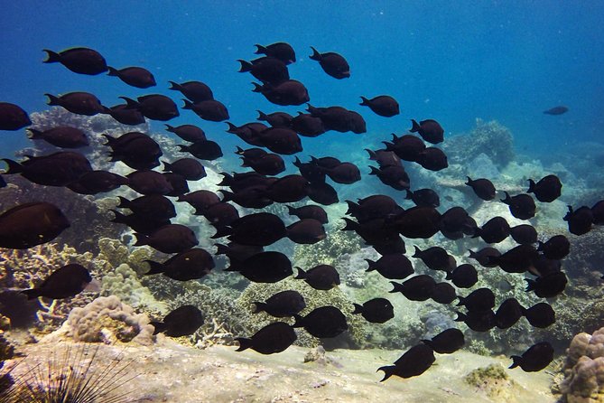 PADI Discover Scuba Diving - introduction program for beginners - The people who make the difference