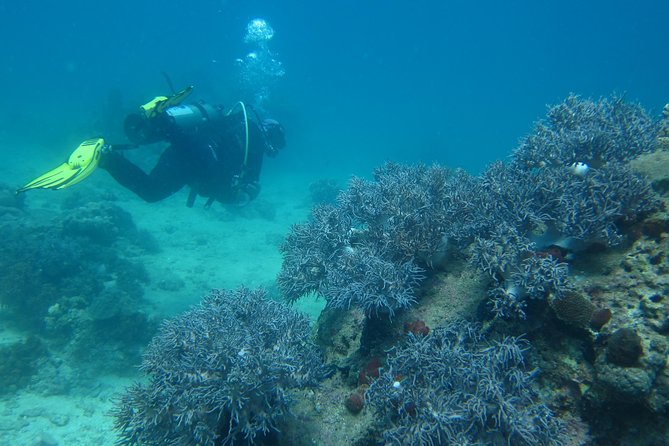 PADI Discover Scuba Diving - introduction program for beginners - Planning around the 18-hour no-fly rule