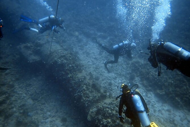 PADI Open Water Certification Course Shared Experience - What the Six-Hour Oahu Course Is Really Like