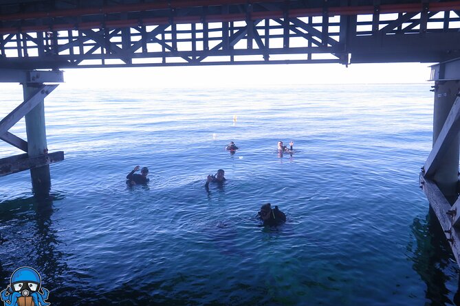 PADI Open Water Course - Three days with a clear learning curve