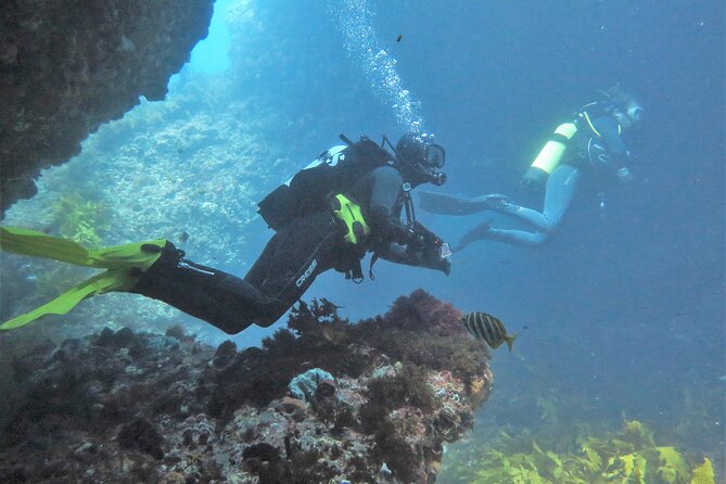 PADI Open Water Course - Practical advice before you book
