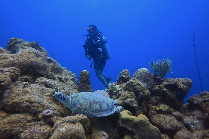 PADI Open Water Course in 3 days - What the three-day course is really like