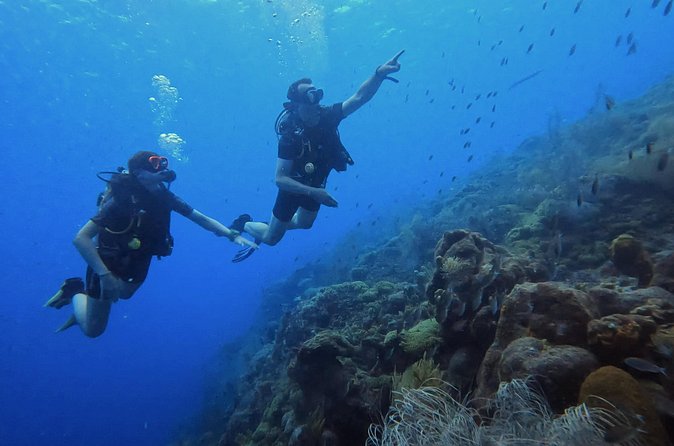 PADI Open Water Course in 3 days - The final session reaches 60 feet