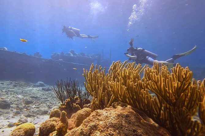 PADI Open Water Course in 3 days - Meeting at the Willemstad cruise terminal