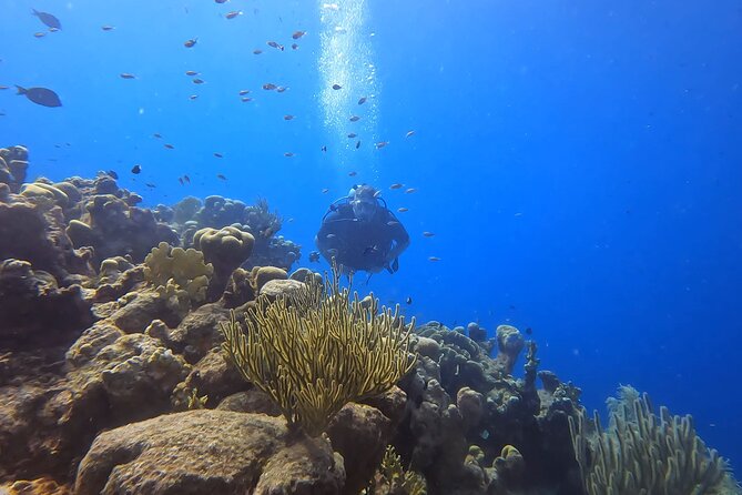 PADI Open Water Course in 3 days - Who will enjoy this course most