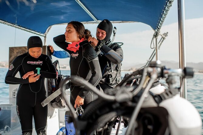 PADI Open Water Course in Cabo San Lucas - Why Cabo works well for a first certification