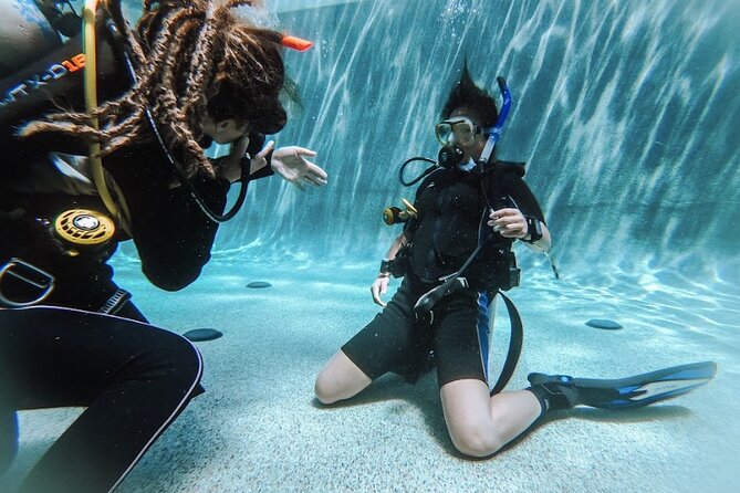 PADI Open Water Course in Cabo San Lucas - Morning one: equipment, review, and pool skills