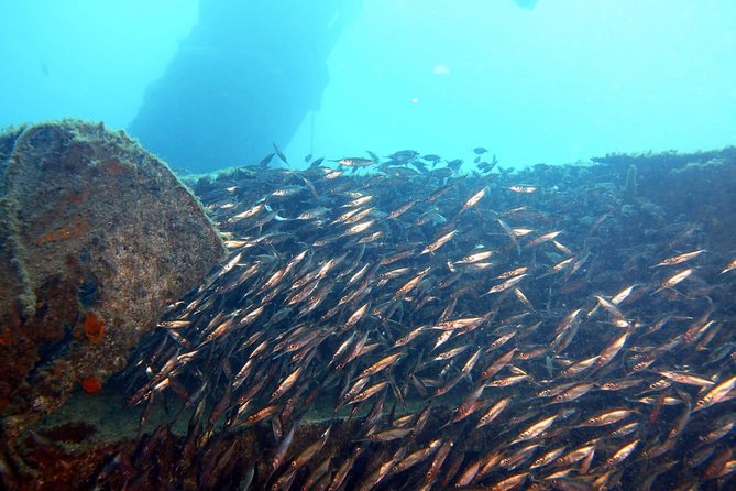 PADI Open Water Course in Gran Canaria - Hotel pickup is useful, but check your address
