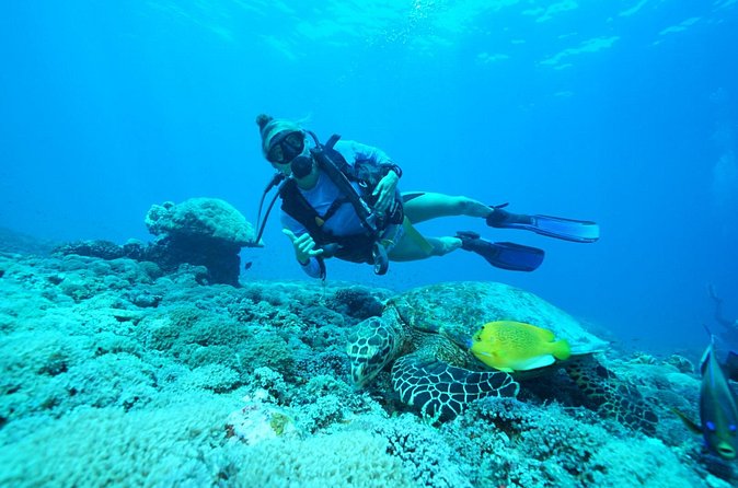 PADI Open water Course in Lembongan - Get certified & dive anywhere in the world - Days two and three: four open-water sessions near Nusa Penida