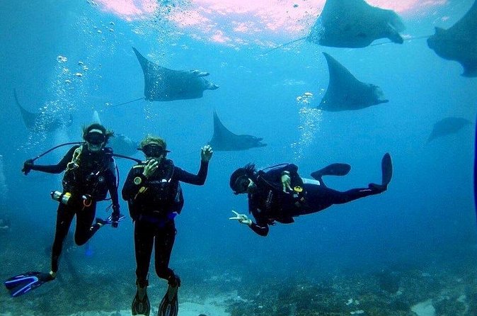 PADI Open water Course in Lembongan - Get certified & dive anywhere in the world - Safety, fitness, and the reality of three full days