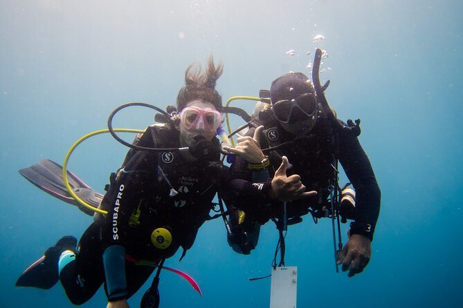 PADI Open water Course in Lembongan - Get certified & dive anywhere in the world - Before day one: online study and preparation