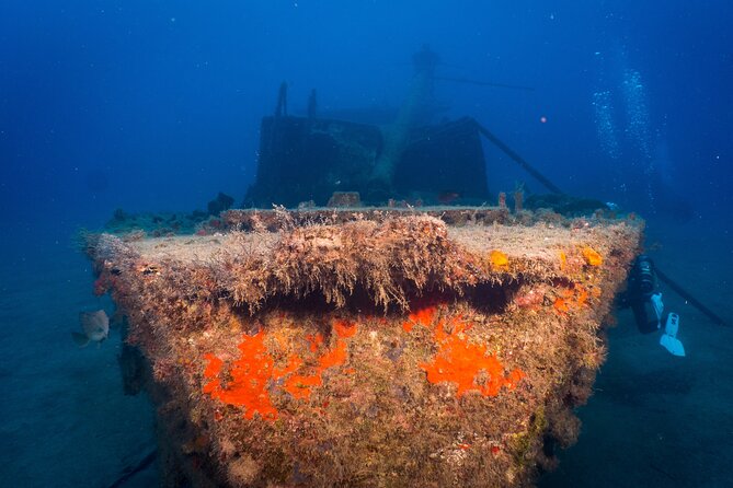 PADI Open Water course in Playa de las Americas - What makes the underwater experience worthwhile