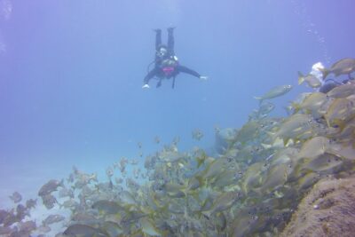 PADI Open Water Diver Course