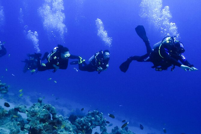 PADI Open Water Diver Course - 5 Days Scuba Diving - The Red Sea practical sessions