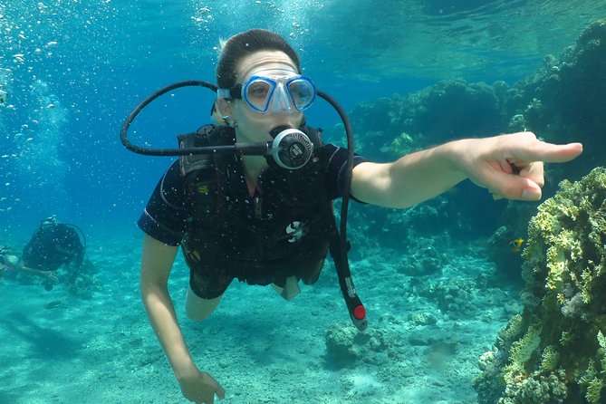 PADI Open Water Diver Course - 5 Days Scuba Diving - Meeting point, daily planning, and comfort