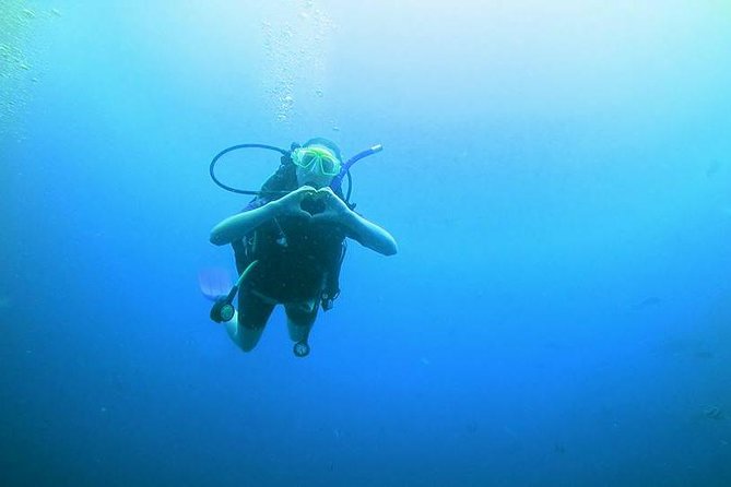 PADI Open Water Diver Course - Who should book this course