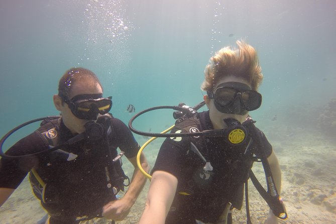 Padi Open Water Diver Course - Who should choose this course?