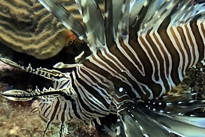 PADI Open Water Diver Course in Bayahibe - Small groups and the quality of instruction