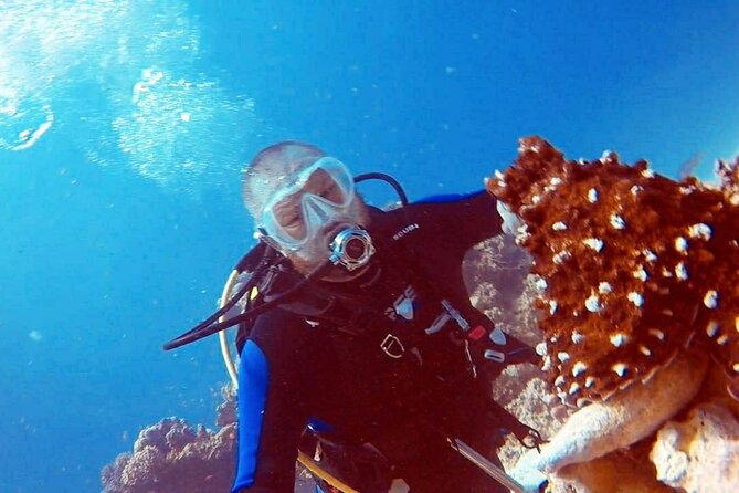 PADI Open Water Diver Course in Hurghada - Learn Scuba Diving - Day one: video lessons and your first two sessions