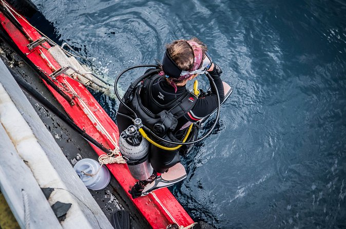 PADI Open Water Diver Course in Koh Phangan - Useful questions to ask before you go