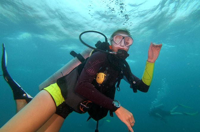 PADI Open Water Diver Course in Koh Phangan - Should you book the Asia Blue course?