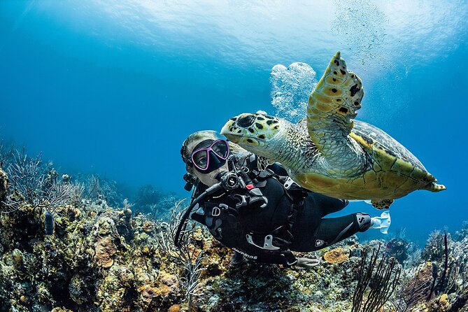 PADI Open Water Diver Course in Playa del Carmen - Pool training comes before the reef