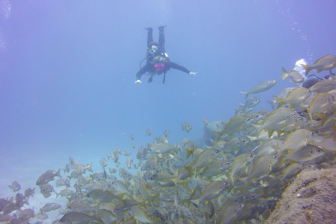 PADI Open Water Diver Course - Arriving at Ctra. de la Fosca, 2