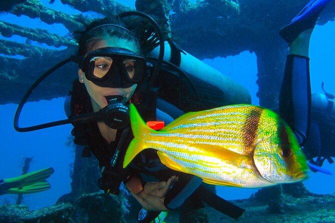 PADI Open Water Diving Certification Course Activity - What the $559 course actually gives you