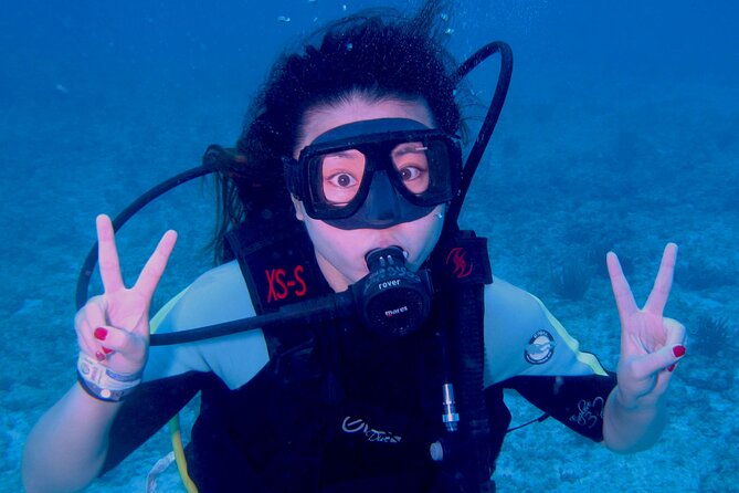 PADI Open Water Diving Certification Course Activity - Why the small group makes a real difference