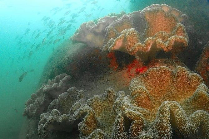 PADI Rescue Diver - What the Rescue Diver course is really teaching