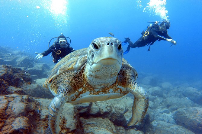 PADI Scuba Dive Course in Costa Adeje - What the $300.67 price means