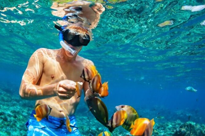 PADI Scuba Diver (PSD) - What the two-day course really includes