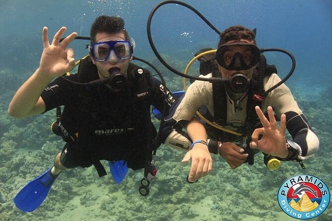 PADI Scuba Diver (PSD) - What the two open-water sessions feel like
