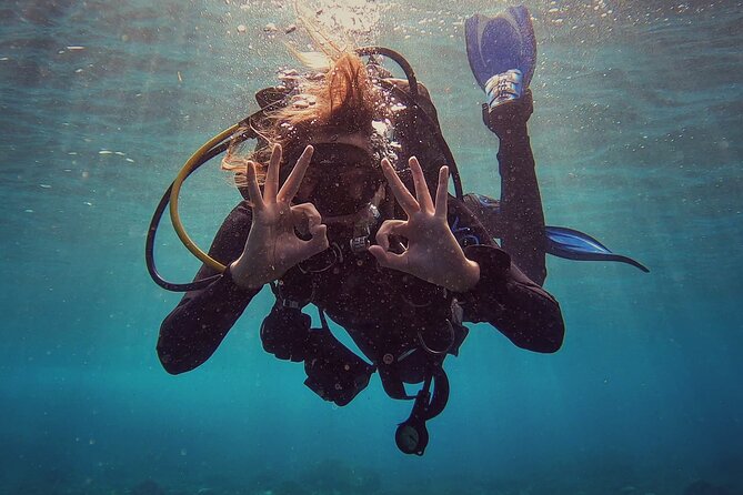 PADI Scuba Diving Courses in Tenerife: All Specialities Until Divemaster - Learning at the west coast beaches