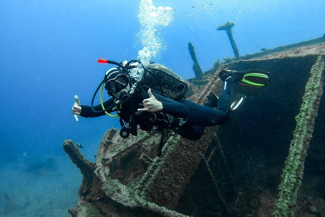 PADI Scuba Diving Courses in Tenerife: All Specialities Until Divemaster - The marine life and underwater scenery
