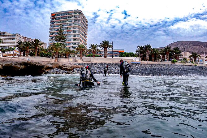 PADI Scuba Diving Courses in Tenerife: All Specialities Until Divemaster - Who will get the most from this experience