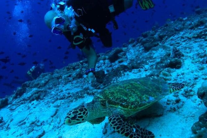 PADI Scuba Lesson and Shore Dive in Maui - Meeting Karim at Kahekili Beach Park
