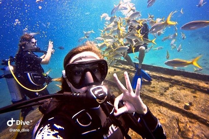 PADI / SSI Open Water Certification - Your first water session is in a pool