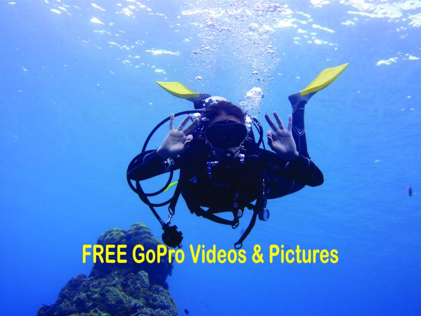 Panama City Beach: Beginners Scuba Diving Tour - What this Panama City Beach scuba session is really like