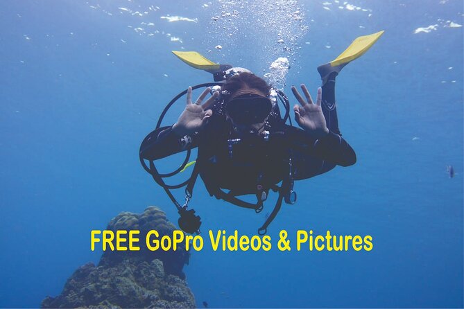 Panama City Scuba Diving Activity for Beginners - Quick facts about the Panama City Beach session