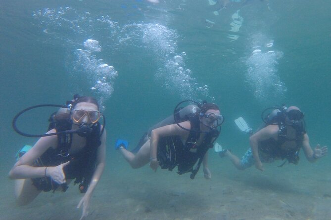 Panama City Scuba Diving Activity for Beginners - Meeting at St. Andrews State Park
