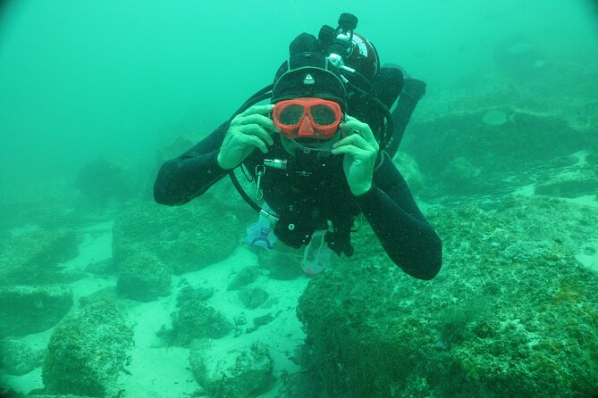 Panama City Scuba Diving Activity for Beginners - What you might see around the jetties