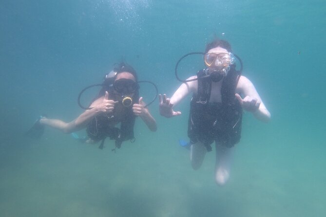 Panama City Scuba Diving Activity for Beginners - Free photos and videos add real value