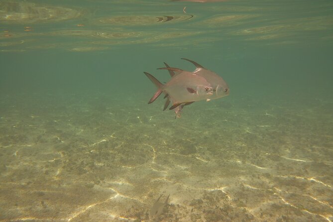 Panama City Scuba Diving Activity for Beginners - A closer look at the $99 price