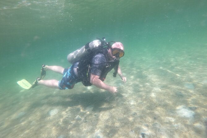 Panama City Scuba Diving Activity for Beginners - Who should book this activity