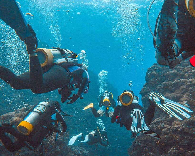 Panglao Bohol: Try Scuba Diving at Napaling and Sardines - Key points to know before you book
