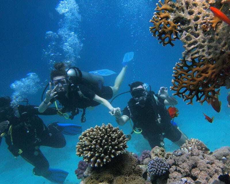 Panglao Bohol: Try Scuba Diving at Napaling and Sardines - Booking, cancellation, and practical details