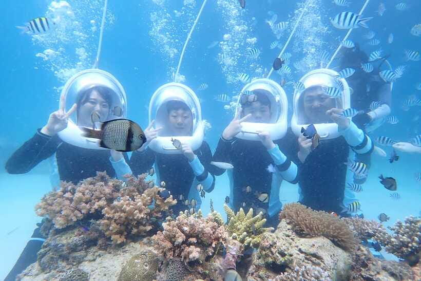Panglao: Helmet Diving Experience with Photos and Videos - The Panglao helmet experience at a glance