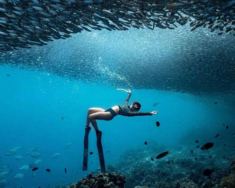Panglao: Napaling Reef and Sardines Freediving Experience - Why Napaling Reef is Panglao’s big underwater attraction