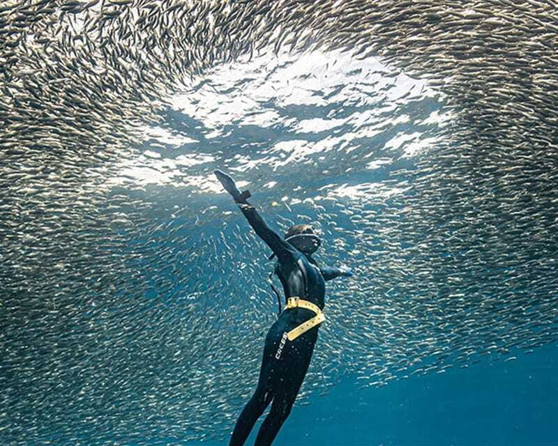 Panglao: Napaling Reef and Sardines Freediving Experience - Napaling Crack and the busy photo moments
